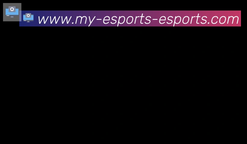 DOTA比分合作伙伴